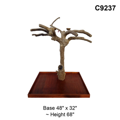 Java Tree Floor Stand for Parrots (Pick Your Exact Tree)