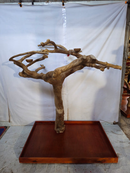 Java Tree Floor Stand for Parrots (Pick Your Exact Tree)
