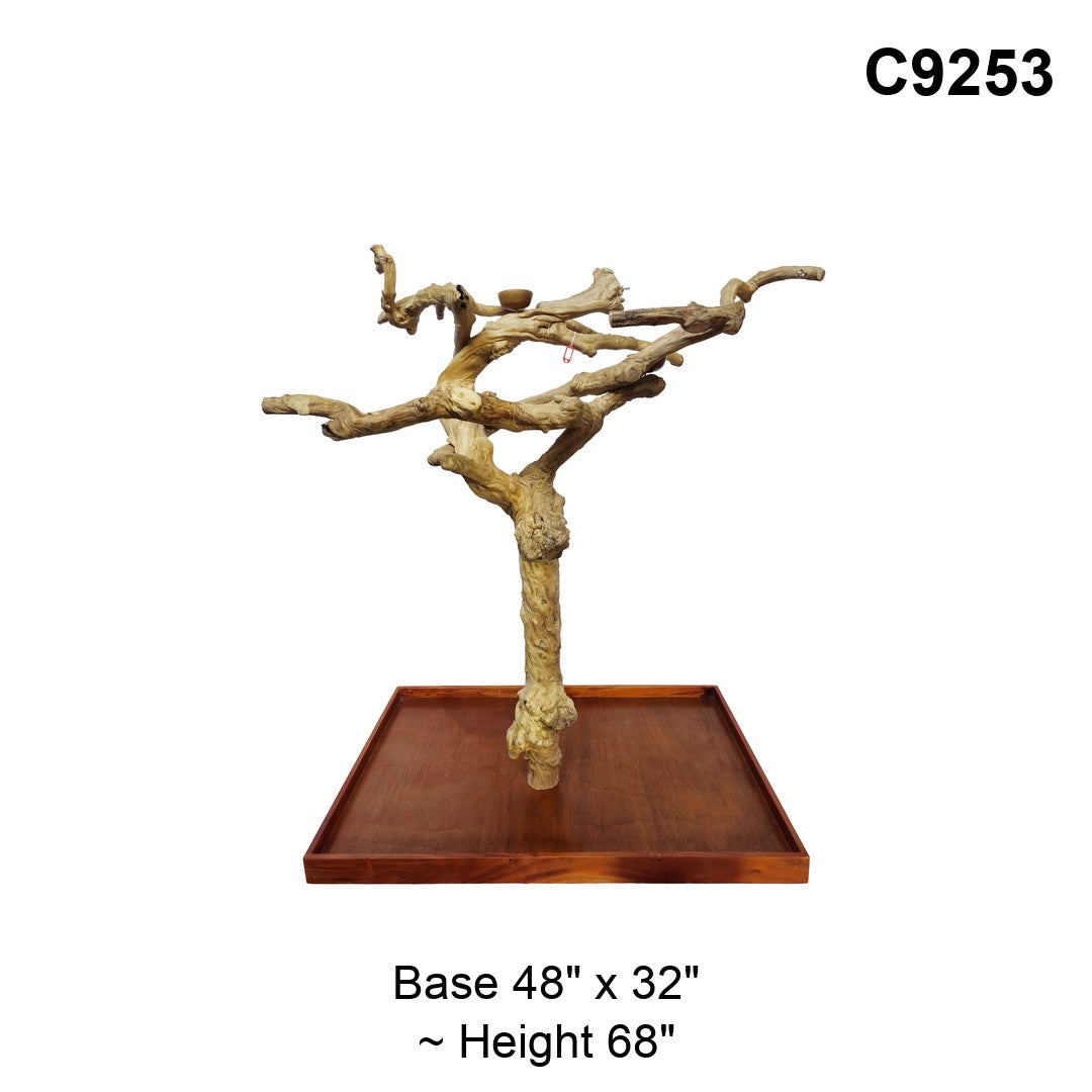 Java Tree Floor Stand for Parrots (Pick Your Exact Tree)