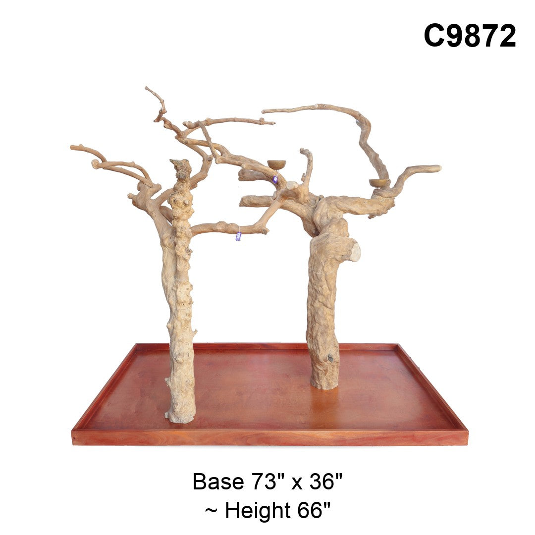 Java Tree Floor Stand for Parrots (Pick Your Exact Tree)