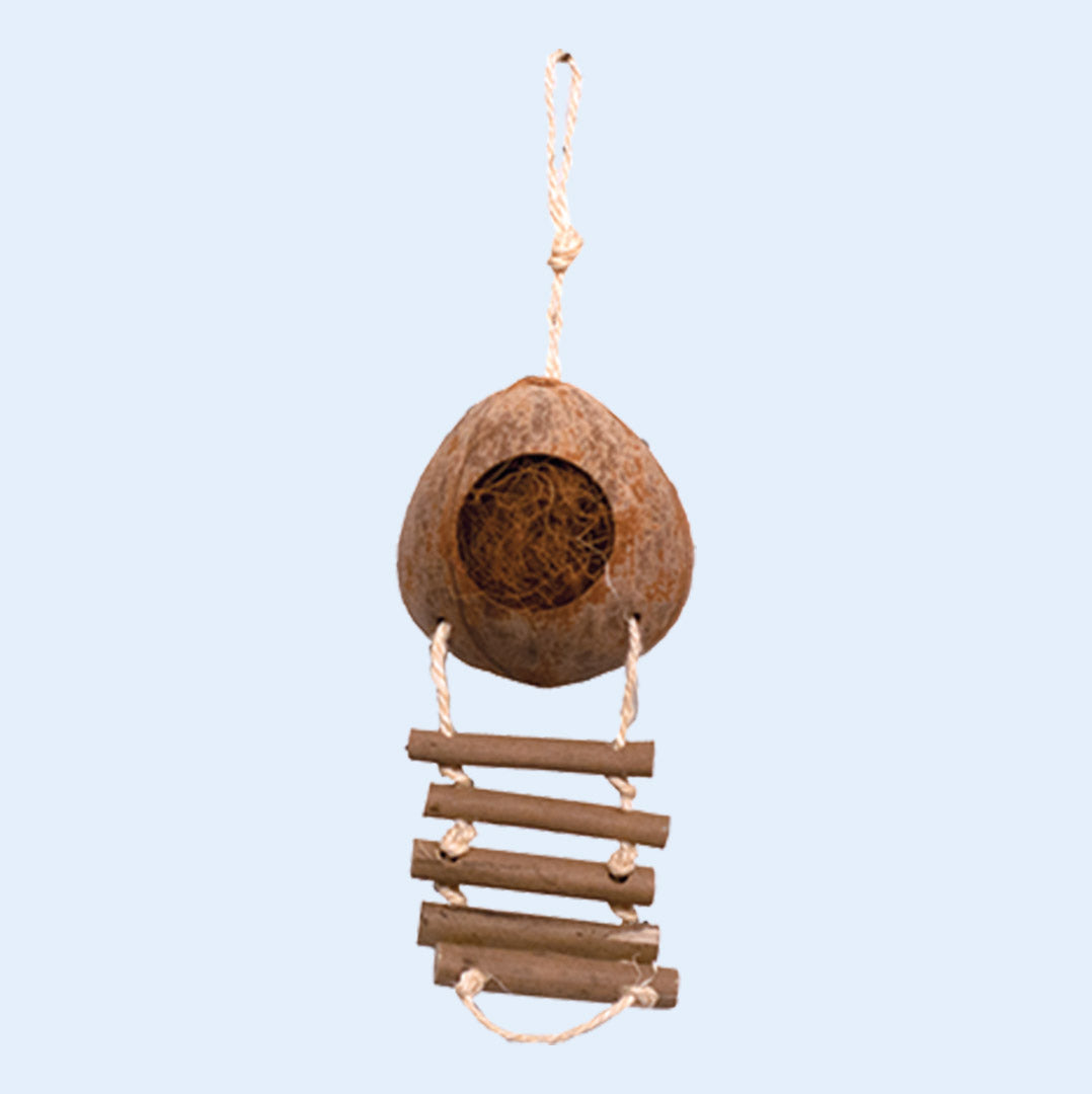 A natural coconut hideaway with a rope ladder, designed as a bird toy and nesting spot. The coconut shell has a circular opening for small birds to enter, and the ladder is made of wooden sticks tied with rope. Available at Squawk Shop.