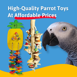 Parrot toys with a parrot on a blue and yellow background, featuring text about high-quality parrot toys at affordable prices.
