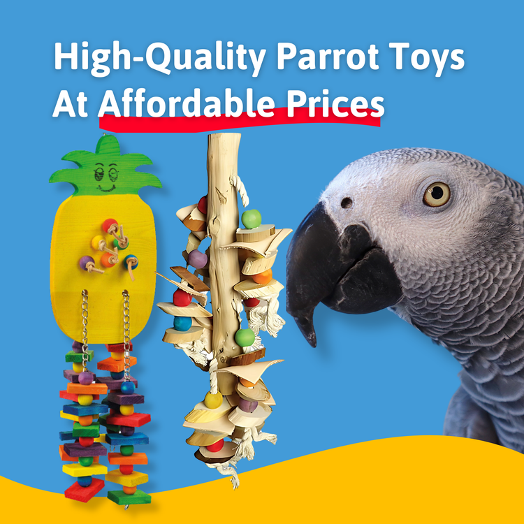 Parrot toys with a parrot on a blue and yellow background, featuring text about high-quality parrot toys at affordable prices.