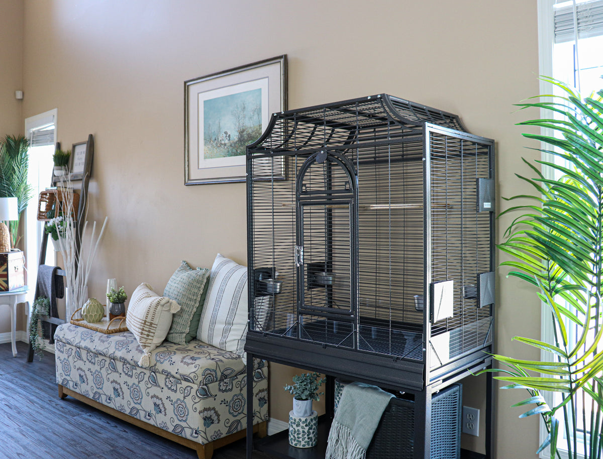 Black flight cage on its rolling stand in a living room, showing its full height beside a sofa