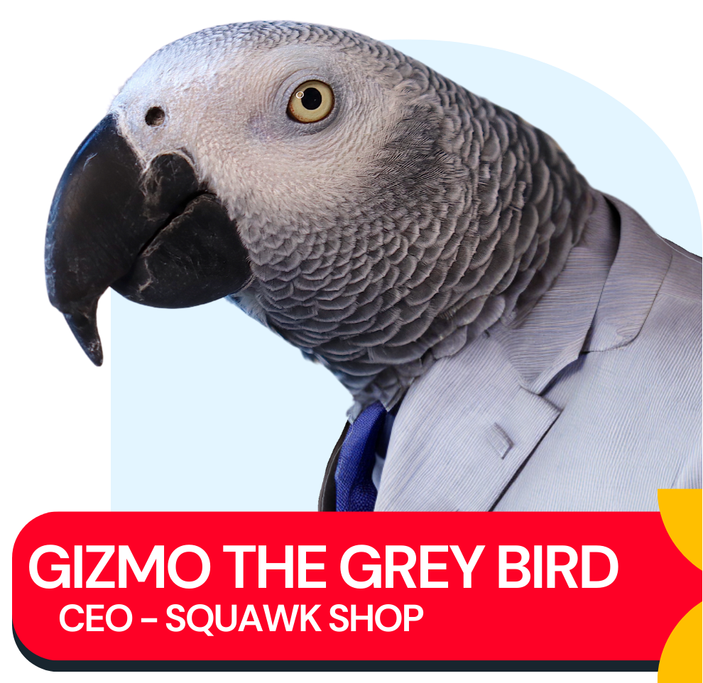 African Grey Parrot Gizmo the Grey Bird in a suit and tie with a red name banner reading “GIZMO THE GREY BIRD — CEO, Squawk Shop.