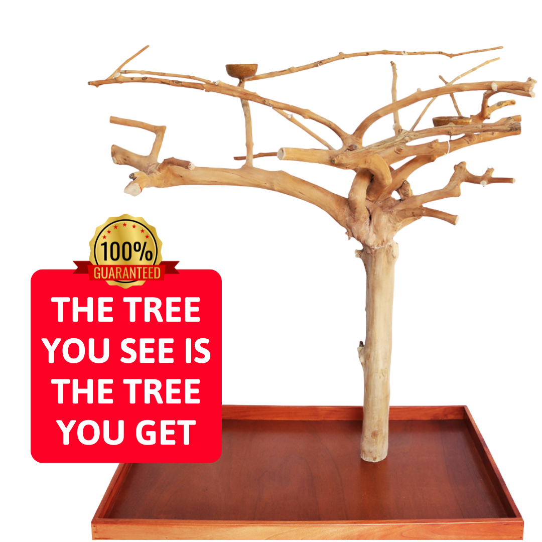 Wooden tree stand with branches on a white background, featuring a red label.