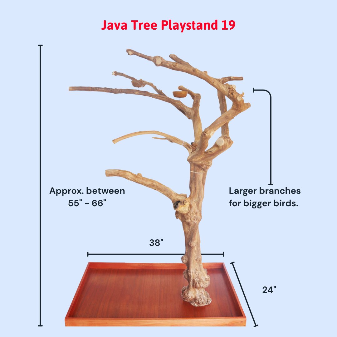 Squawk Shop Large Java Wood Parrot Playstand with 38" x 24" base and natural branches—ideal for climbing, perching, and enriching bird play.