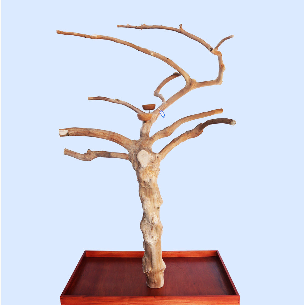 Squawk Shop Large Java Wood Parrot Playstand with 38" x 24" base and natural branches—ideal for climbing, perching, and enriching bird play.