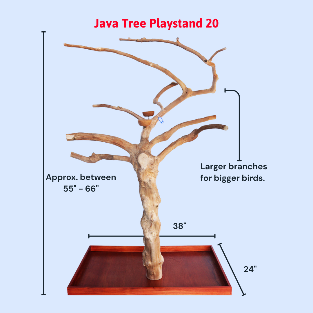 Squawk Shop Large Java Wood Parrot Playstand with 38" x 24" base and natural branches—ideal for climbing, perching, and enriching bird play.
