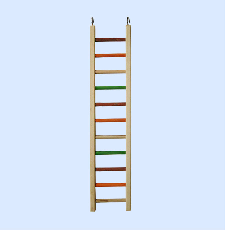 Medium Wooden Hanging Ladder from Squawk Shop, 26" x 5.25" with vibrant chewable rungs, perfect for bird climbing and interactive fun.