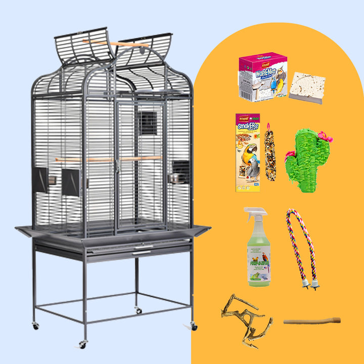Majestic Medium Parrot Cage Bundle with black dome-top cage, parrot toys, perch, cleaning spray, treats, and accessories from Squawk Shop