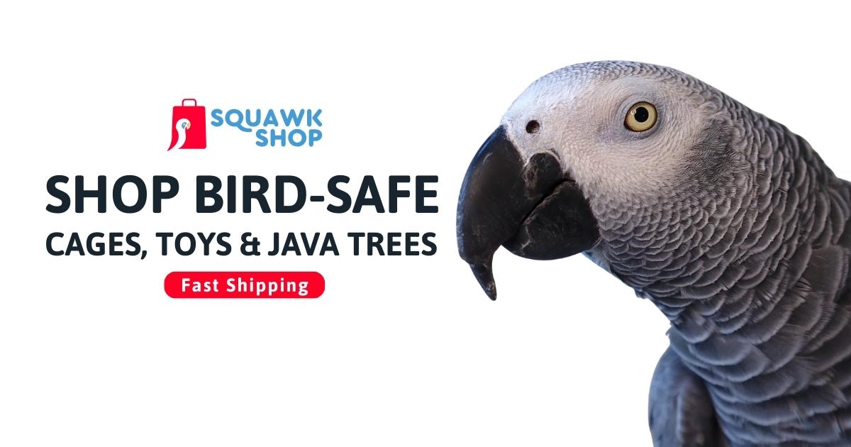 Parrot Supplies, Cages, Toys & Java Trees | Squawk Shop