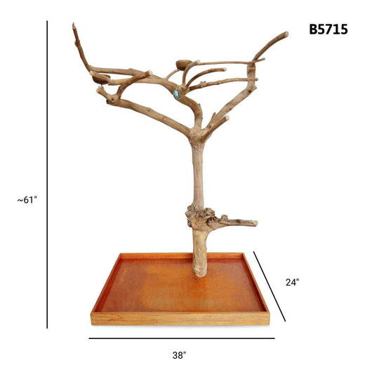 Squawk Shop Java Tree B5715