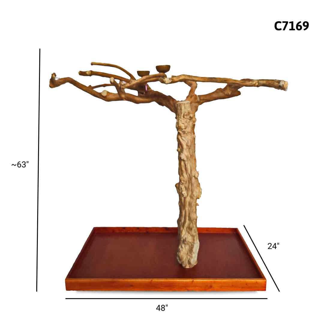 javaウッドプレイスタンド Java Tree Floor Stand for Parrots (Pick Your Exact Tree) – Squawk Shop