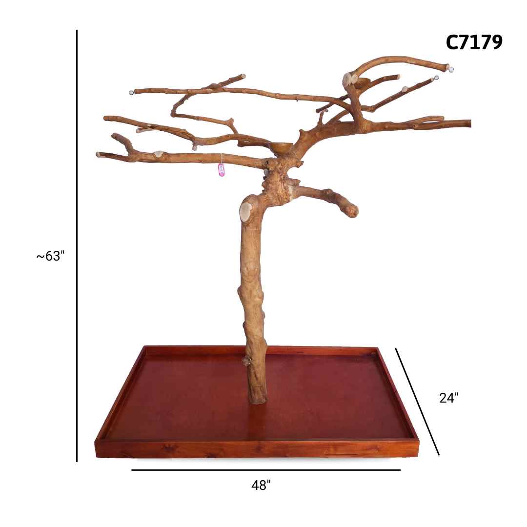 Java Tree Floor Stand for Parrots (Pick Your Exact Tree) – Squawk Shop