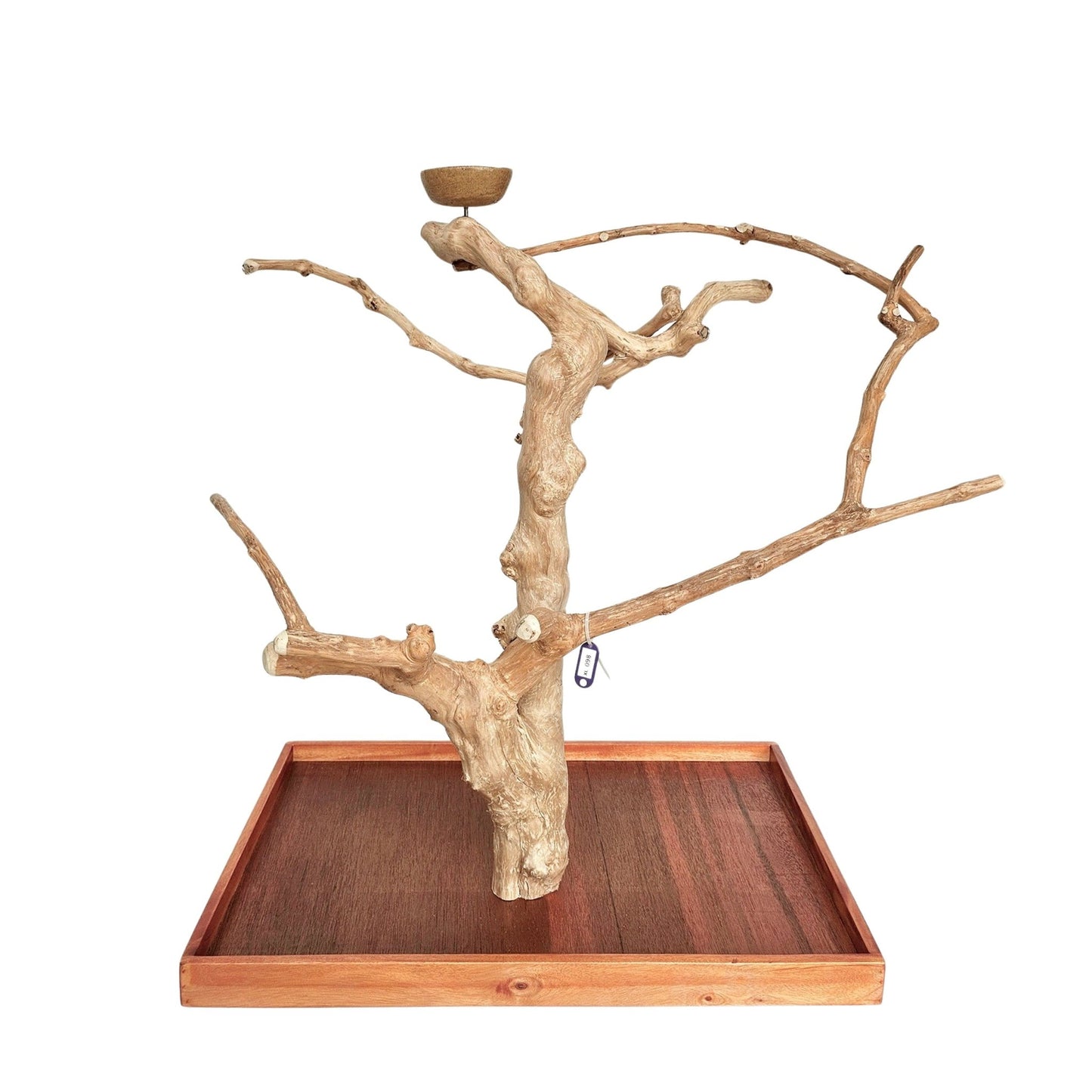 Natural java wood parrot tree table stand with unique climbing branches and sturdy base – Tree ID 098