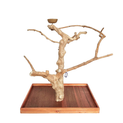 Natural java wood parrot tree table stand with unique climbing branches and sturdy base – Tree ID 098