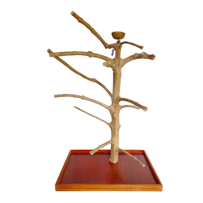 Natural java wood parrot tree table stand with unique climbing branches and sturdy base – Tree ID 119