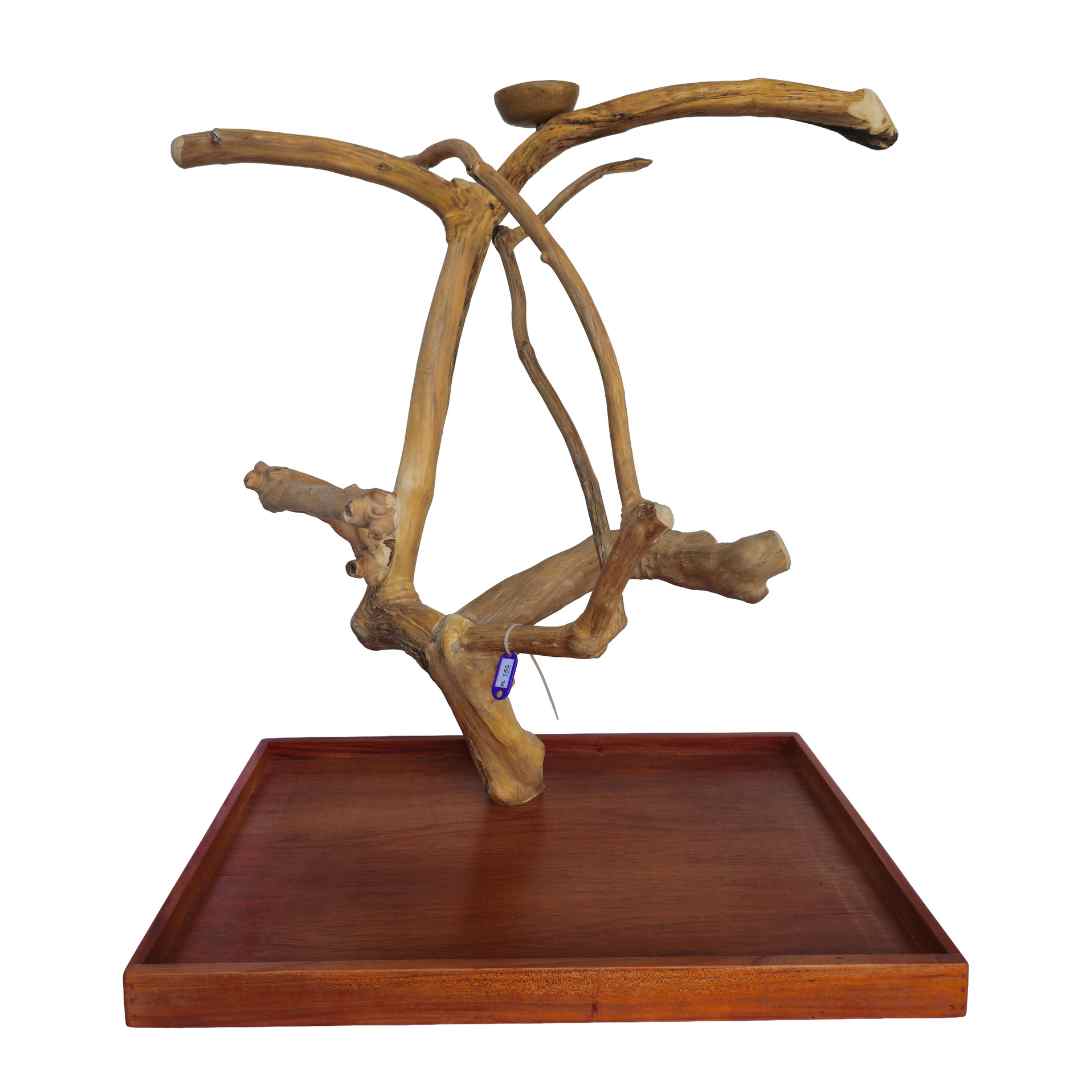 Natural java wood parrot tree table stand with unique climbing branches and sturdy base – Tree ID A155