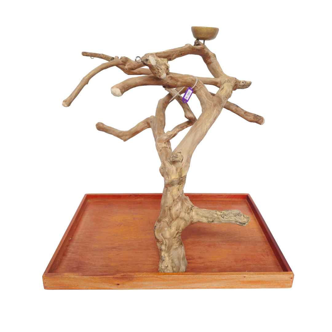 Natural java wood parrot tree table stand with unique climbing branches and sturdy base – Tree ID A167
