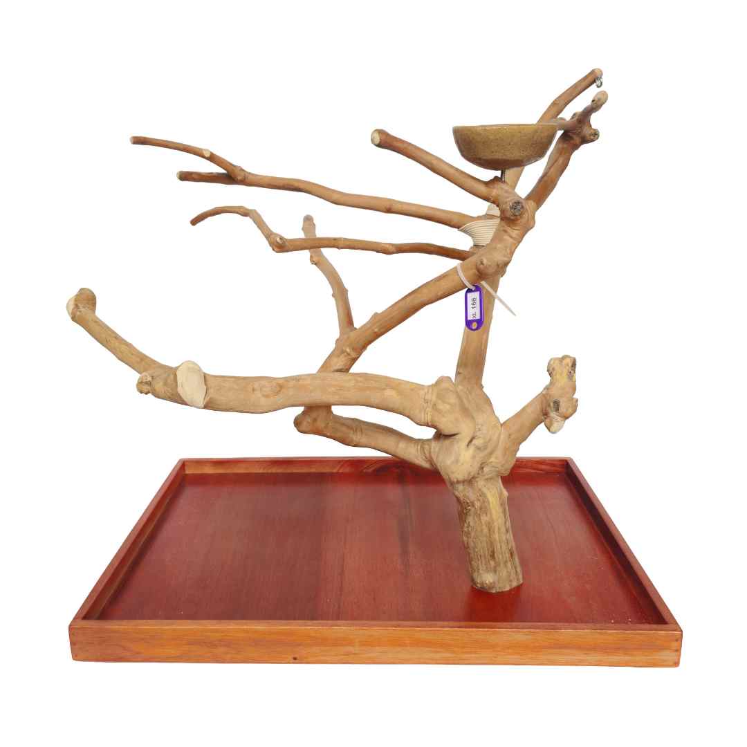 Natural java wood parrot tree table stand with unique climbing branches and sturdy base – Tree ID A168