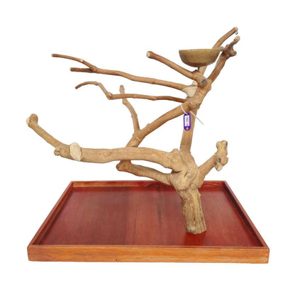 Natural java wood parrot tree table stand with unique climbing branches and sturdy base – Tree ID A168