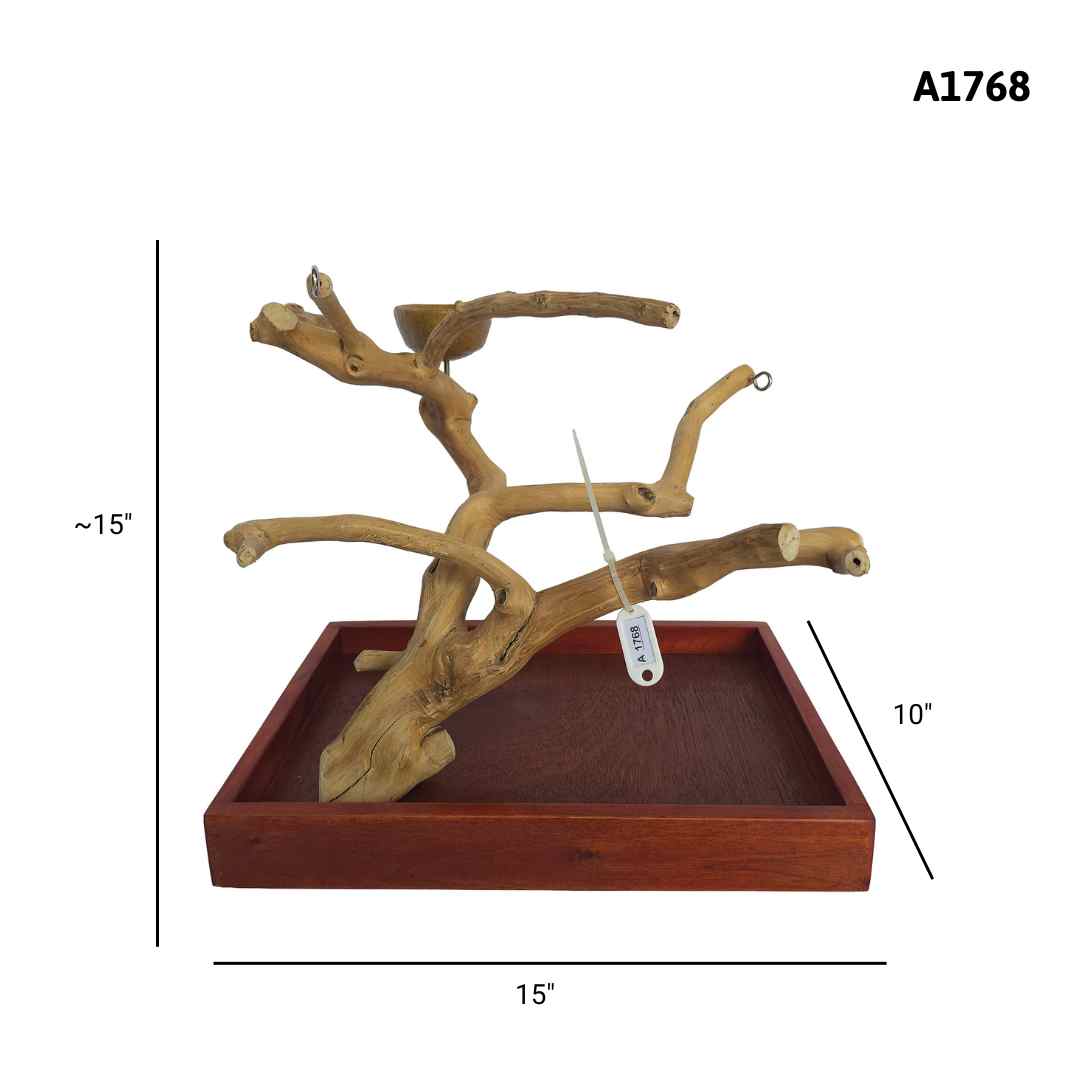 Natural java wood parrot tree table stand with unique climbing branches and sturdy base – Tree ID A1768