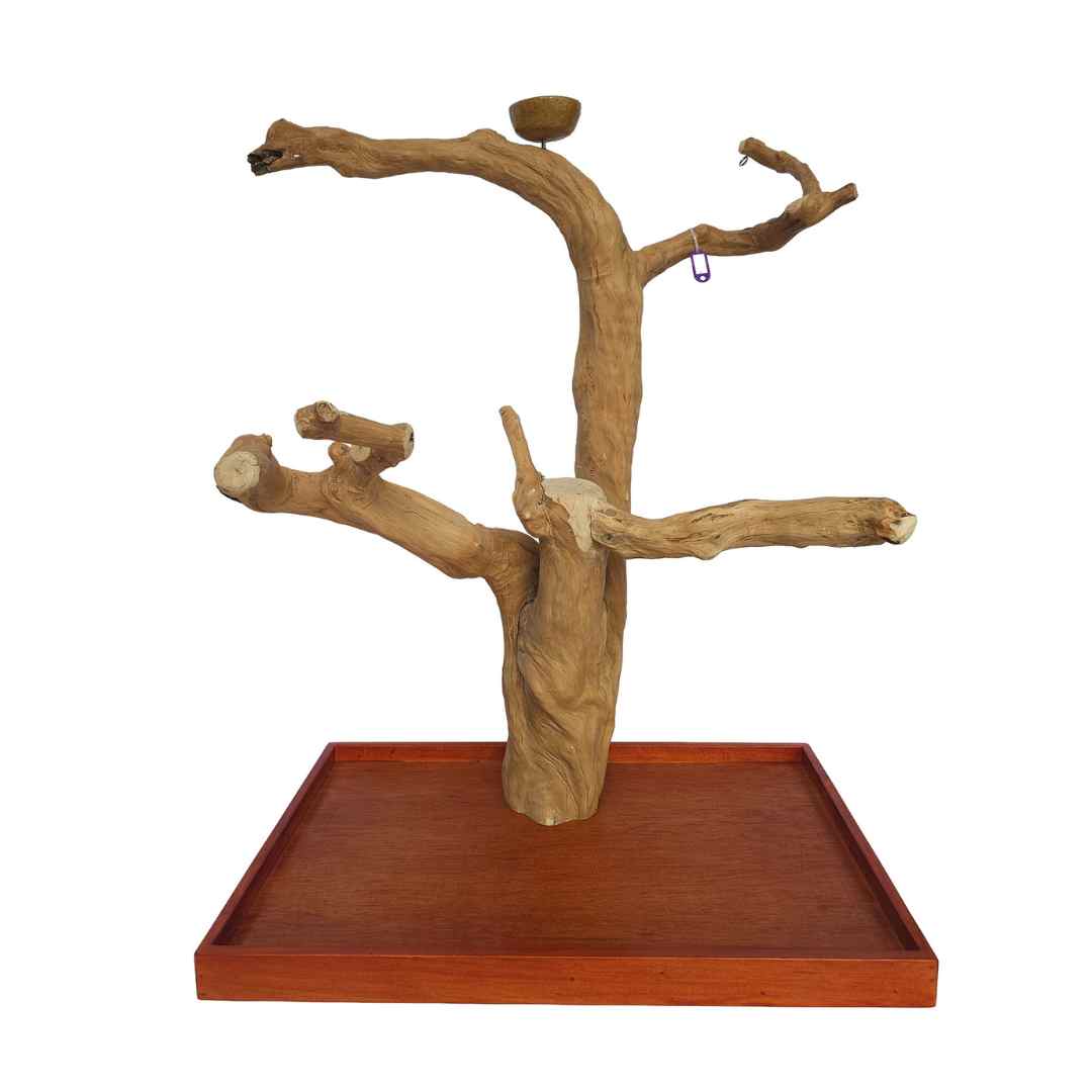Natural java wood parrot tree table stand with unique climbing branches and sturdy base – Tree ID A182