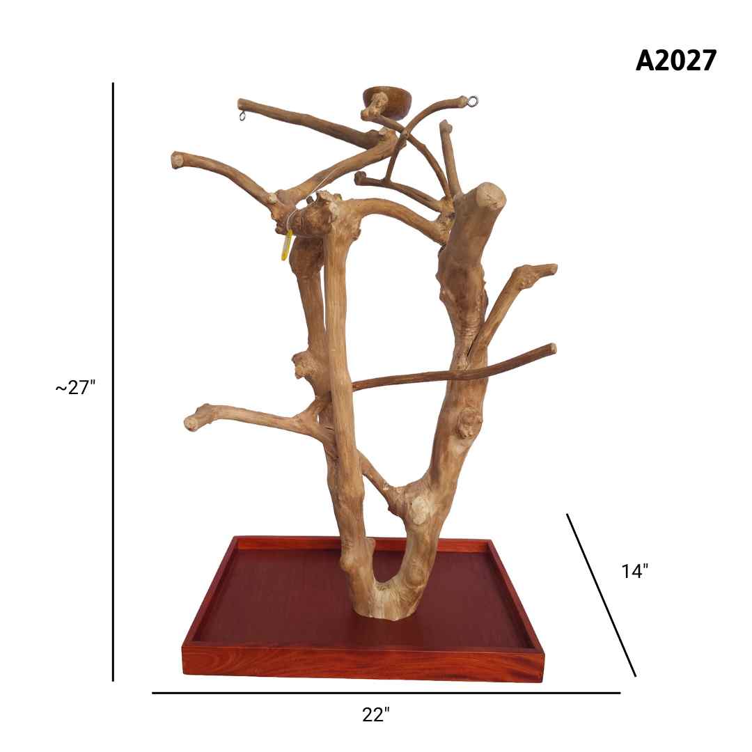 Natural java wood parrot tree table stand with unique climbing branches and sturdy base – Tree ID A2027