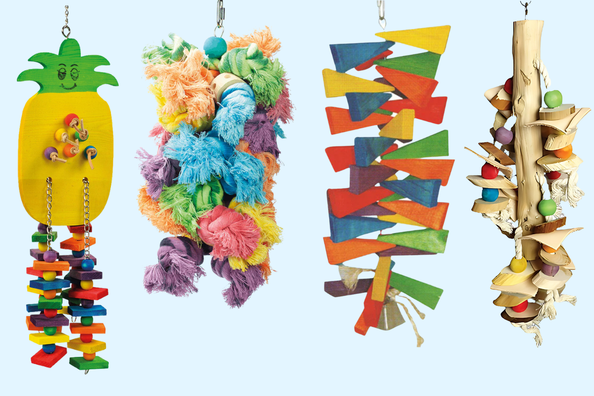 Four colorful bird toys on a light blue background
