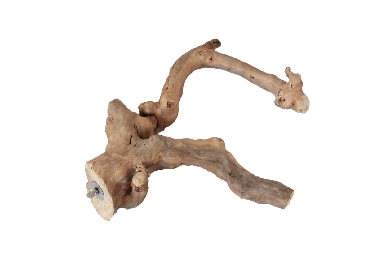Extra large Java wood bird perch with multiple branches and metal cage attachment