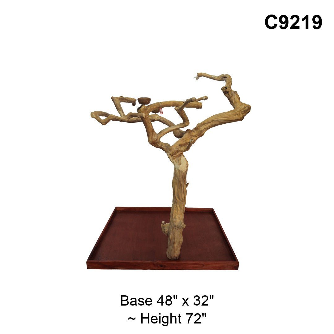 Java Tree Floor Stand for Parrots (Pick Your Exact Tree)