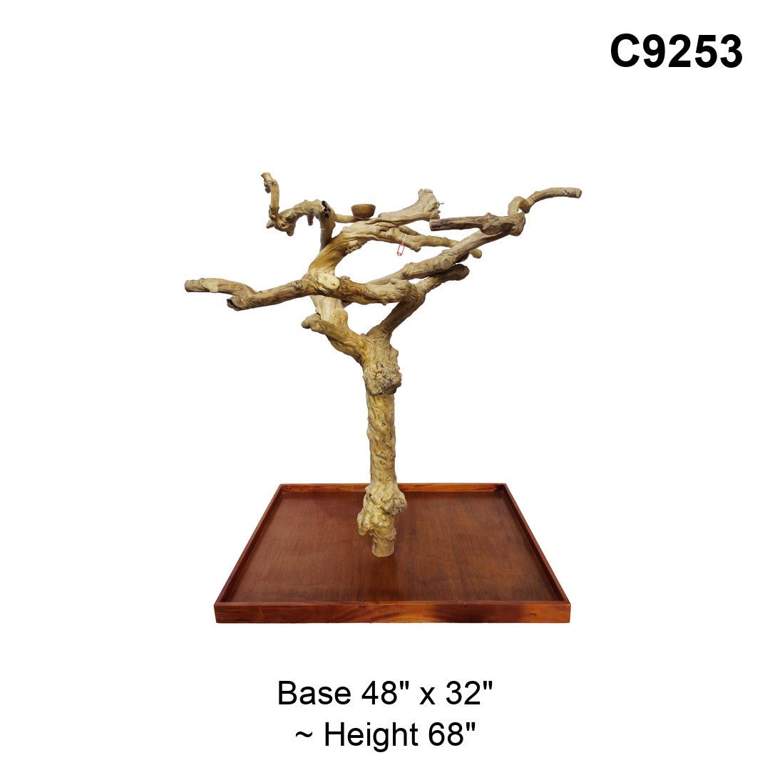 Java Tree Floor Stand for Parrots (Pick Your Exact Tree)