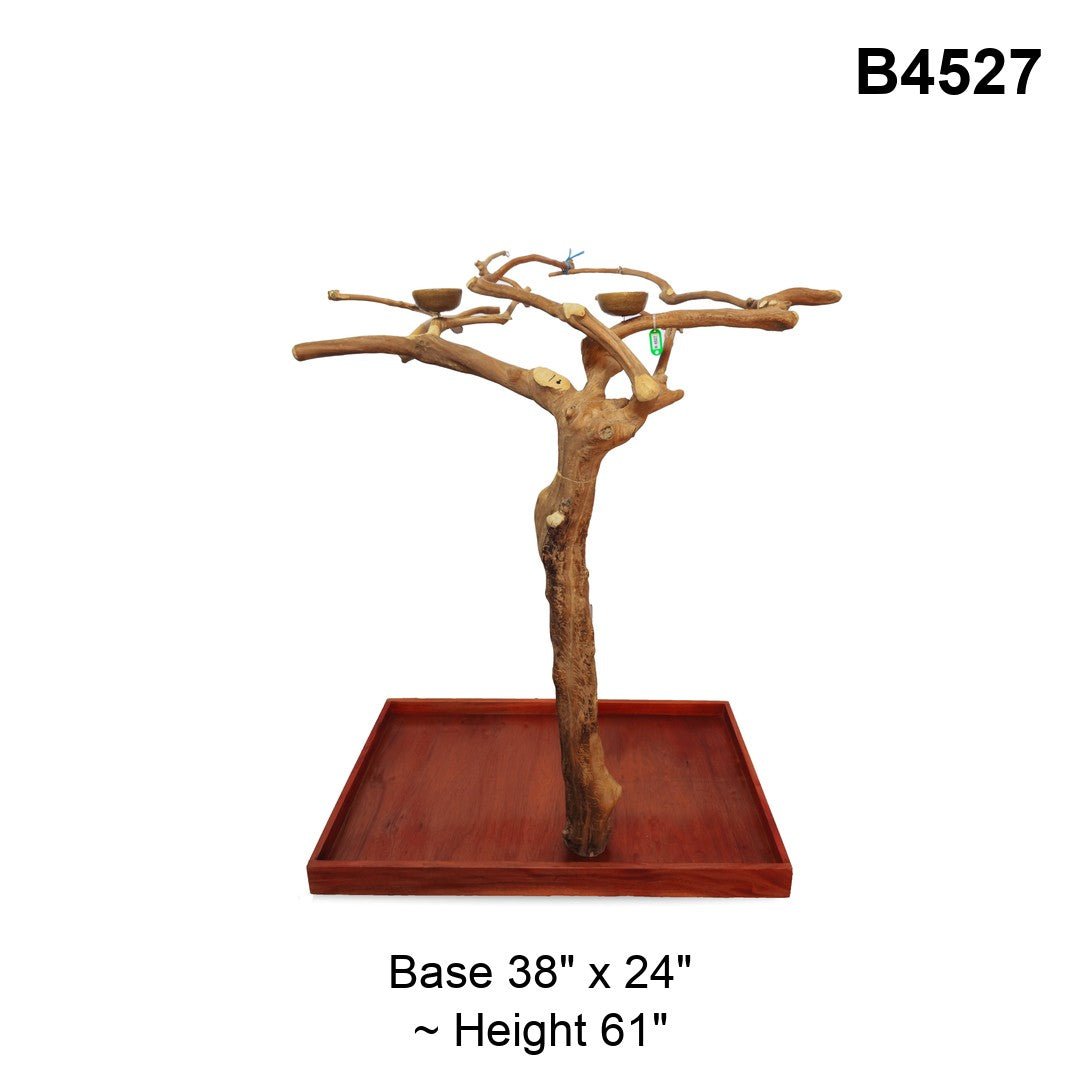 Java Tree Floor Stand for Parrots (Pick Your Exact Tree)