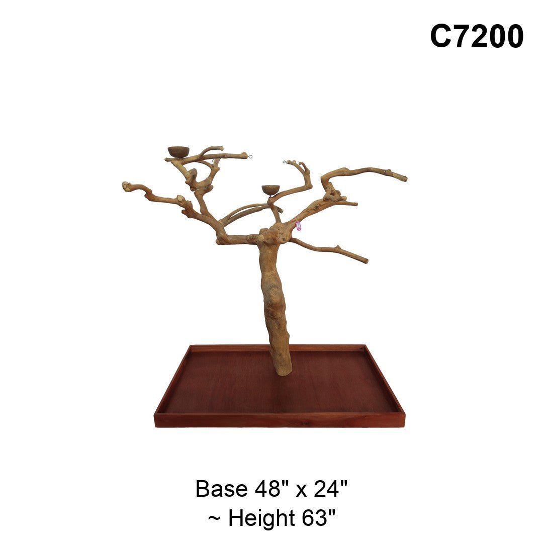 Java Tree Floor Stand for Parrots (Pick Your Exact Tree)