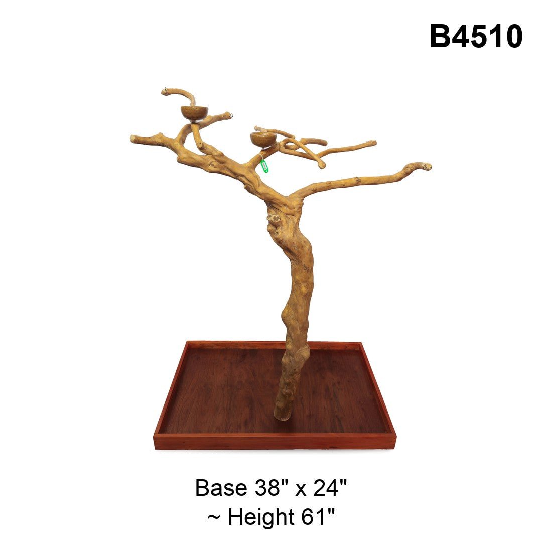 Java Tree Floor Stand for Parrots (Pick Your Exact Tree)