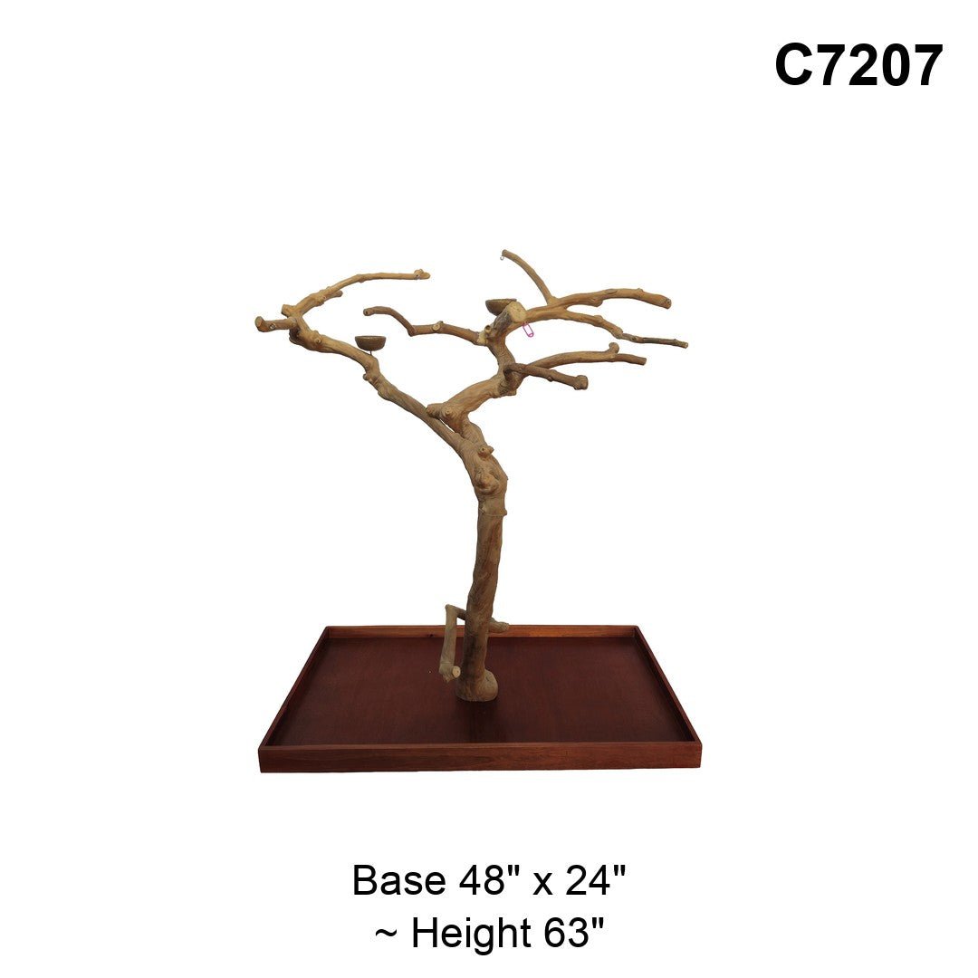 Java Tree Floor Stand for Parrots (Pick Your Exact Tree)