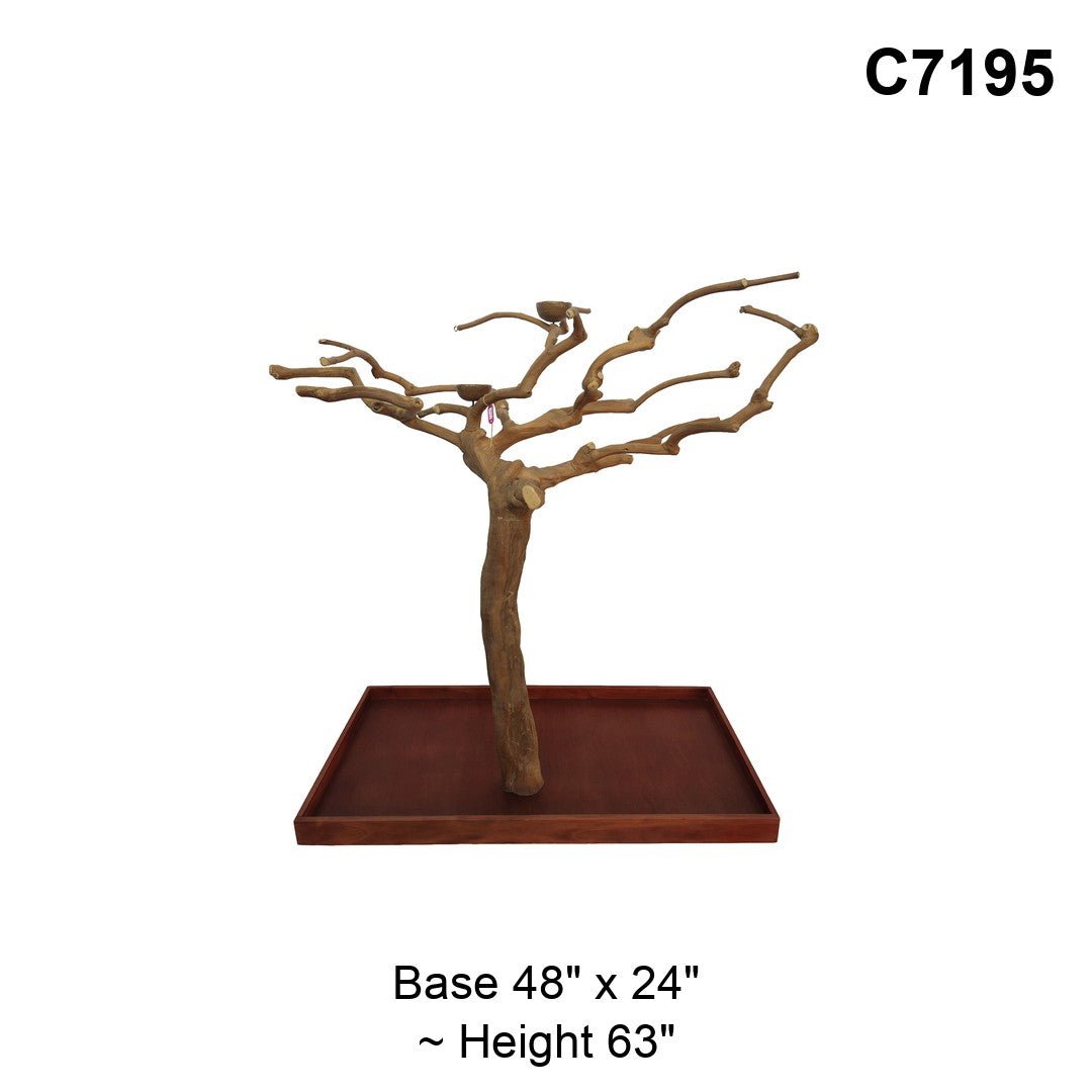 Java Tree Floor Stand for Parrots (Pick Your Exact Tree)