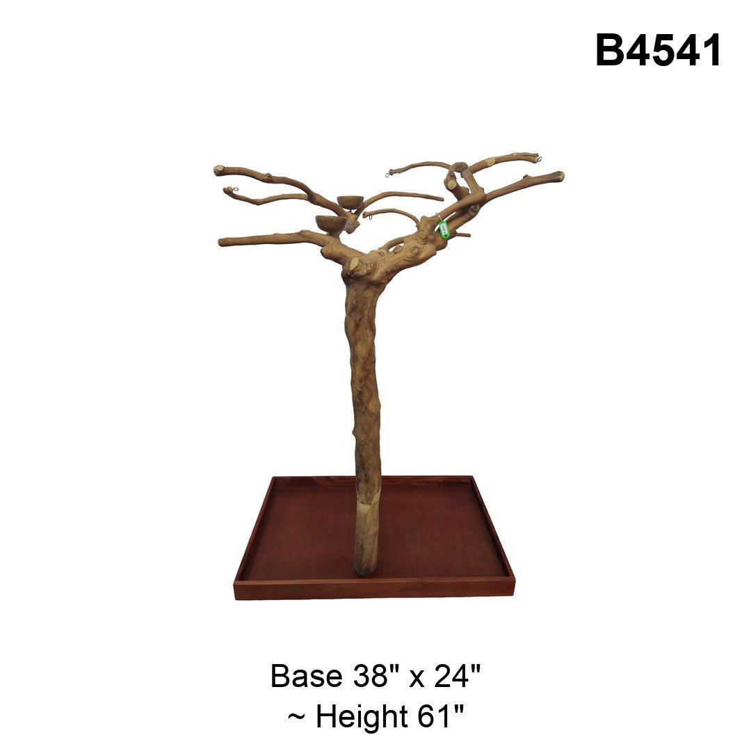 Java Tree Floor Stand for Parrots (Pick Your Exact Tree)