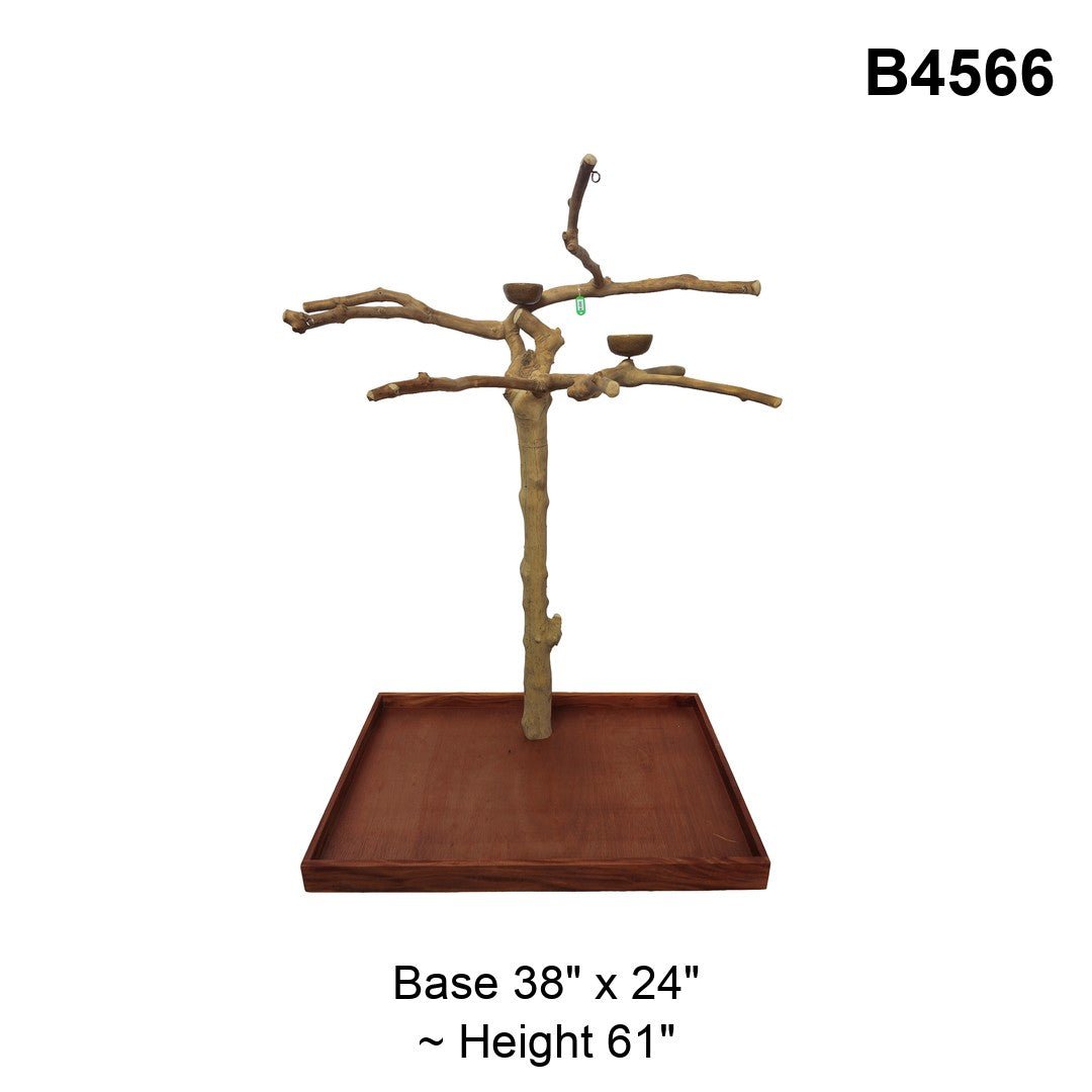 Java Tree Floor Stand for Parrots (Pick Your Exact Tree)