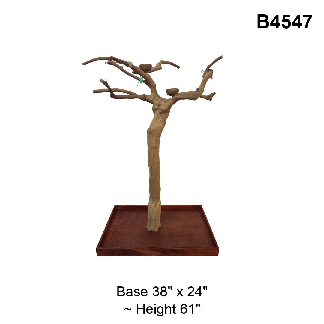 Java Tree Floor Stand for Parrots (Pick Your Exact Tree)