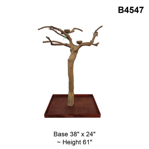 Squawk Shop Java Tree B4547