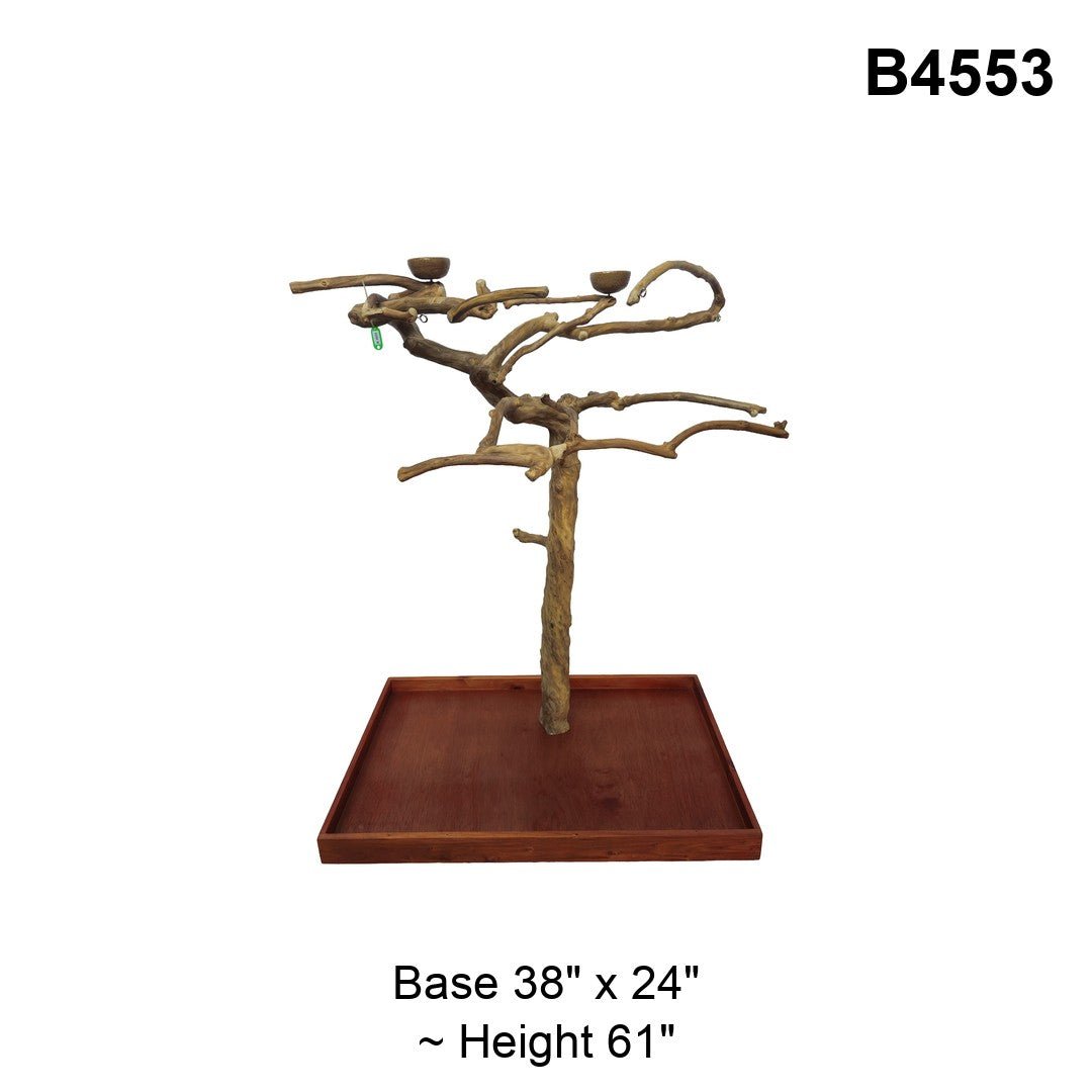 Java Tree Floor Stand for Parrots (Pick Your Exact Tree)