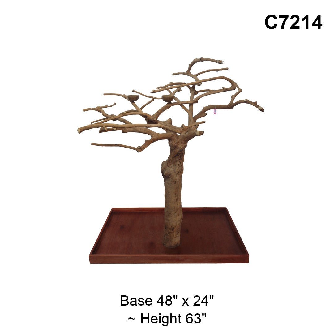Java Tree Floor Stand for Parrots (Pick Your Exact Tree)