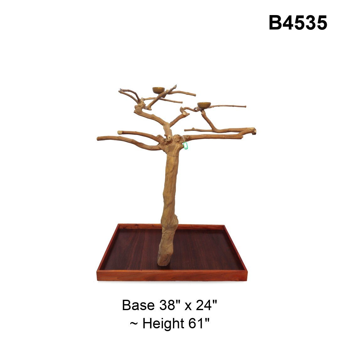 Java Tree Floor Stand for Parrots (Pick Your Exact Tree)