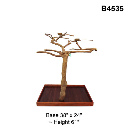 Java Tree Floor Stand for Parrots (Pick Your Exact Tree)
