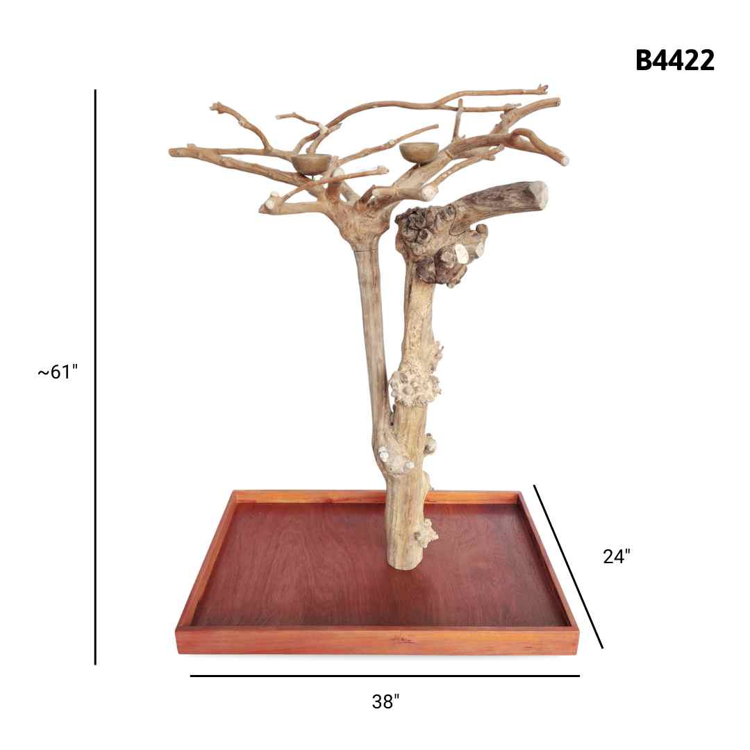 Natural java wood parrot tree stand with unique climbing branches and sturdy base – Tree ID B4422