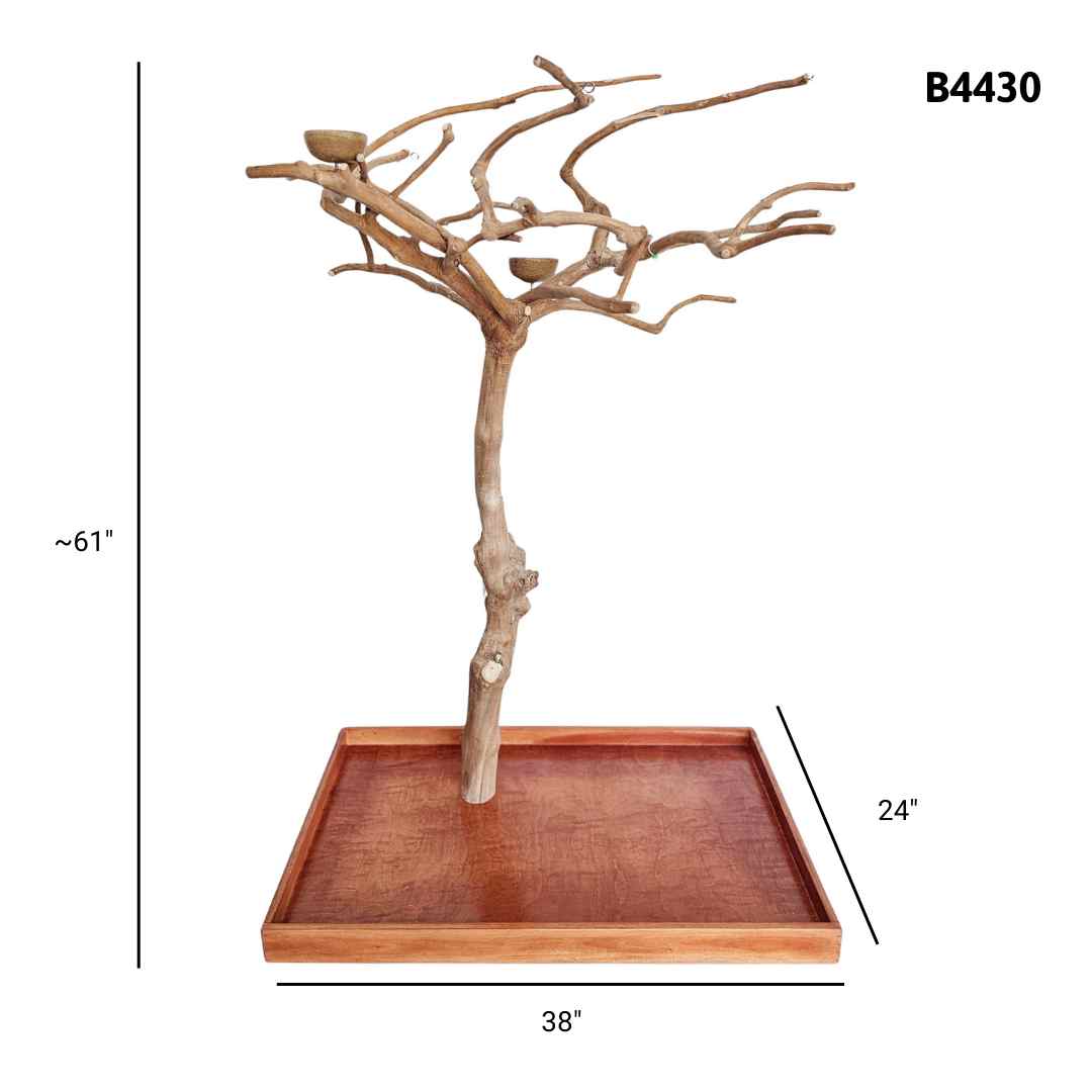 Natural java wood parrot tree stand with unique climbing branches and sturdy base – Tree ID B4430