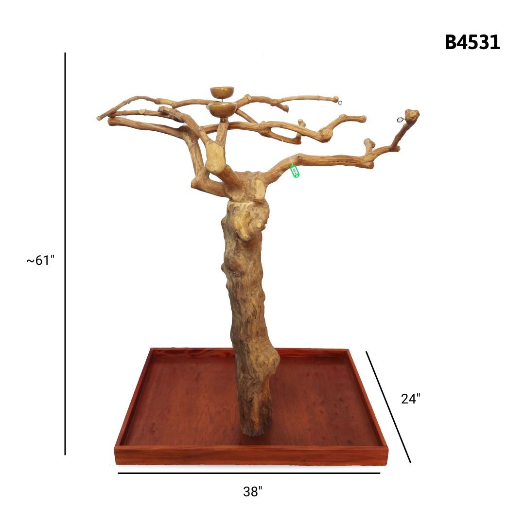 A&E B4531 large Java wood tree playstand dimensions and specifications
