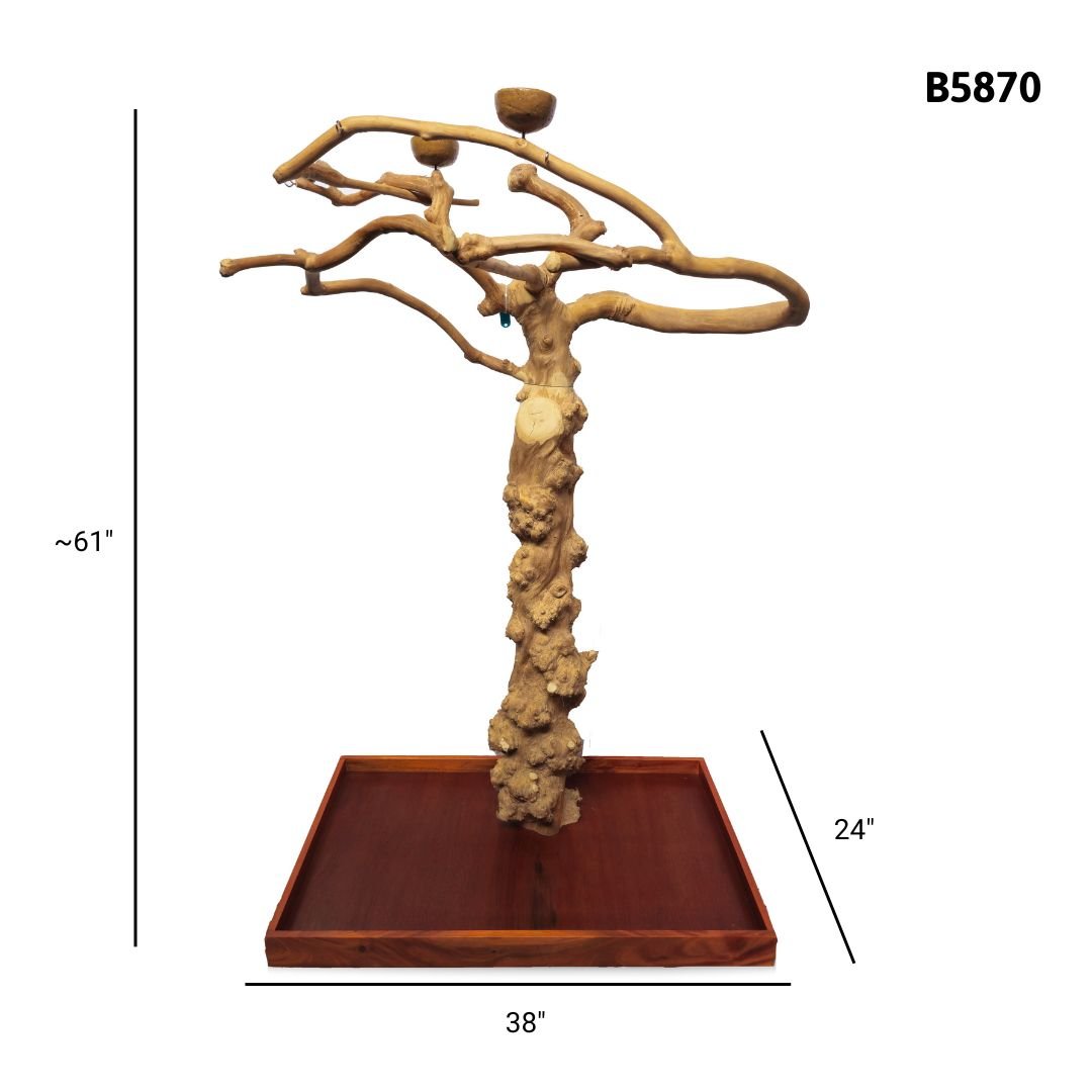 A&E B5870 large Java wood tree playstand dimensions and specifications